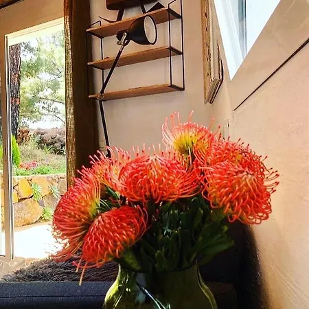 Casa Aguar: Acogedora Casa De Invitados En El Bosque Horská chata *