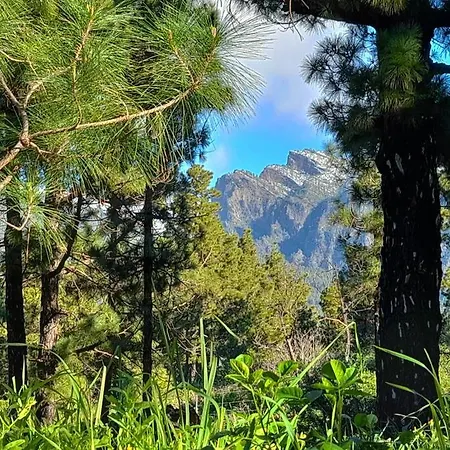 Casa Aguar: Acogedora Casa De Invitados En El Bosque Horská chata Barrial