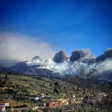 Casa Aguar: Acogedora Casa De Invitados En El Bosque *