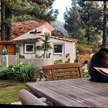 Casa Aguar: Acogedora Casa De Invitados En El Bosque * Barrial
