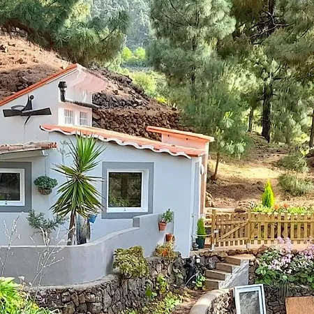 Casa Aguar: Acogedora Casa De Invitados En El Bosque