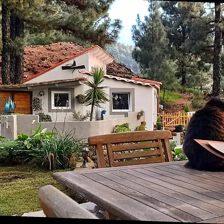 Casa Aguar: Acogedora Casa De Invitados En El Bosque Barrial