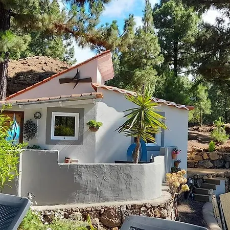 Casa Aguar: Acogedora Casa De Invitados En El Bosque